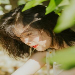 罗梅瑾